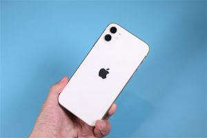 “iPhone 16不支持微信”传言引爆30%“苹果税”争议,背后原因大揭秘-咸鱼单机官网