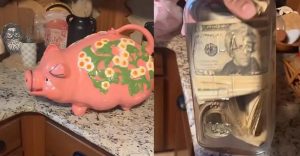 美国女子淘二手小猪存钱罐，竟意外发现2028美元现金！真相曝光引热议-咸鱼单机官网