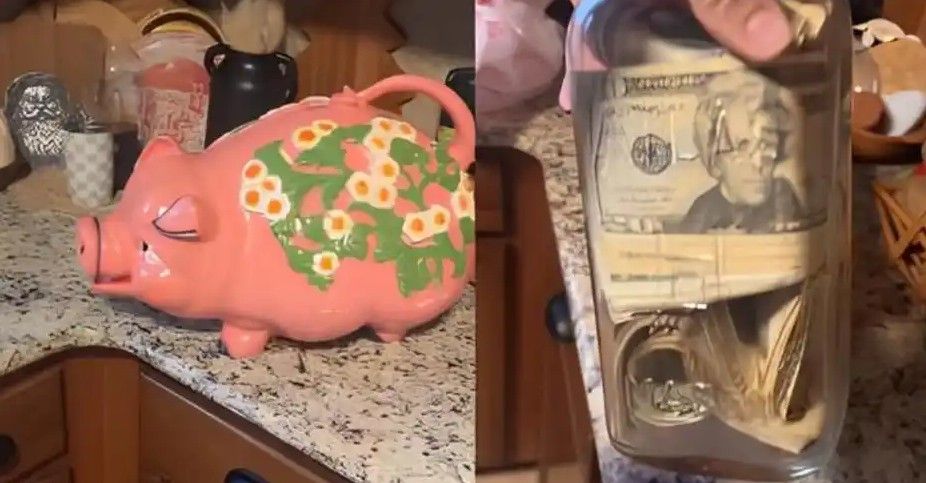美国女子淘二手小猪存钱罐，竟意外发现2028美元现金！真相曝光引热议-咸鱼单机官网